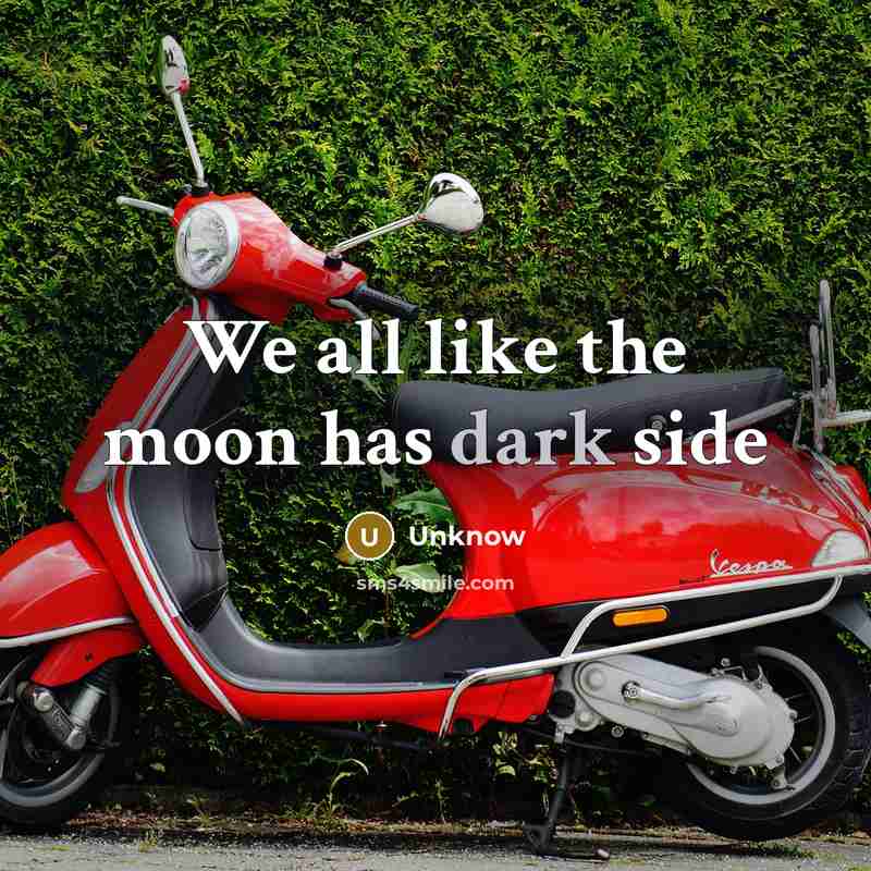 “We all like the moon has dark side…” quote by Unknow