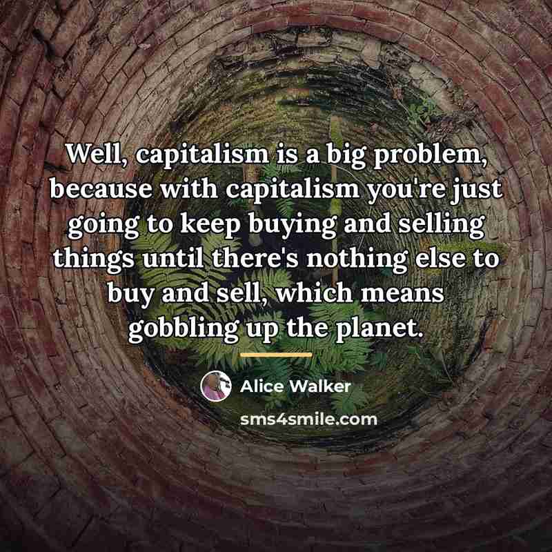 “Well, capitalism is a big problem, because with capitalism you're…” quote by Alice Walker