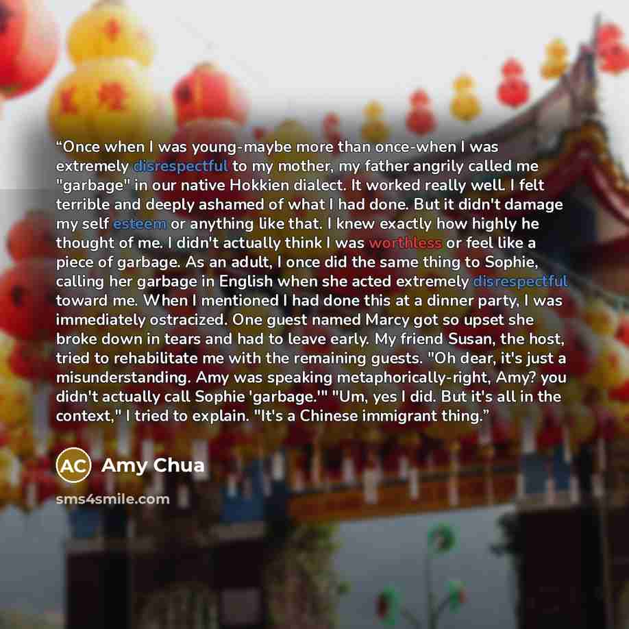“Once when I was young-maybe more than once-when I was extremely disrespectful to my mother, my father angrily called me "garbage" in our native Hokkien dialect. It worked really well. I felt terrible and deeply ashamed of what I had done. But it didn't damage my self esteem or anything like that…” quote by Amy Chua