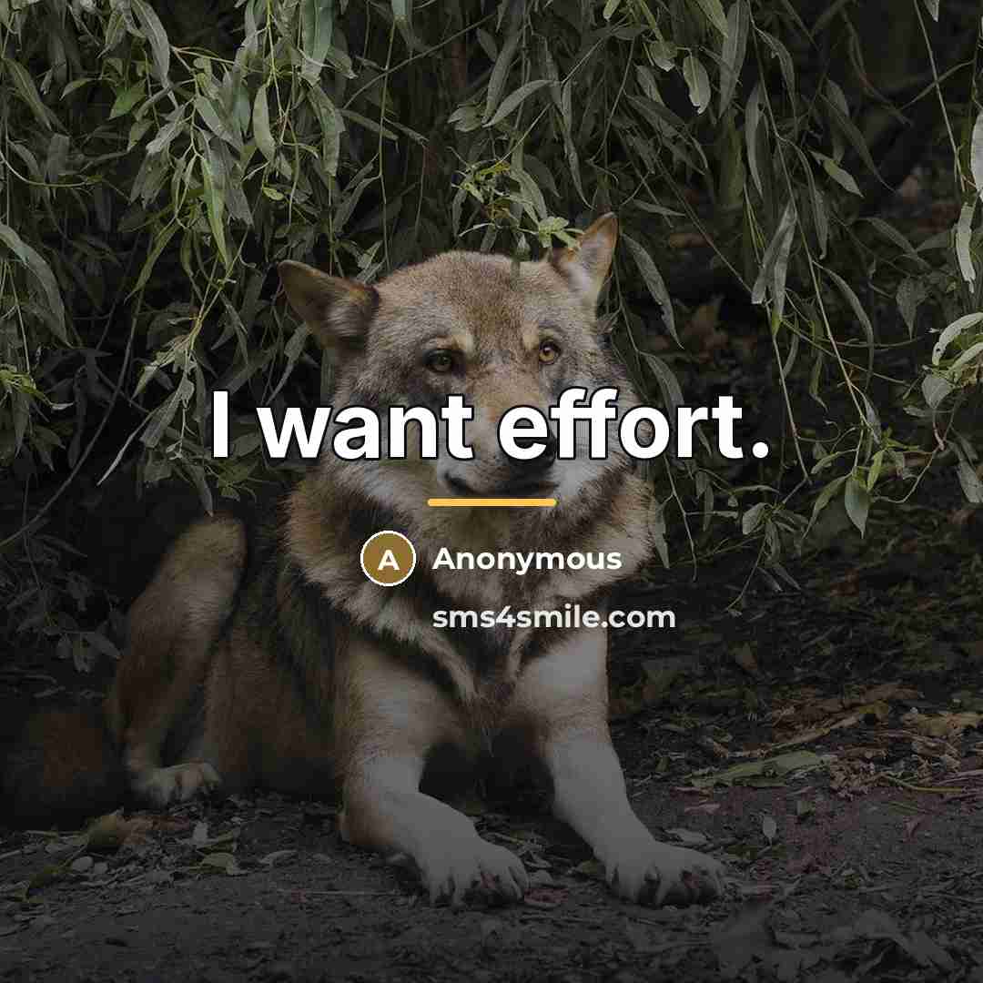 “I want effort.…” quote by Anonymous