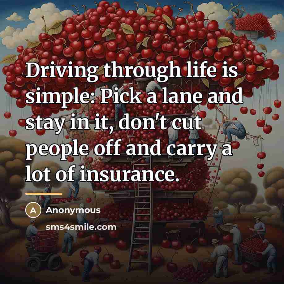“Driving through life is simple: Pick a lane and stay…” quote by Anonymous