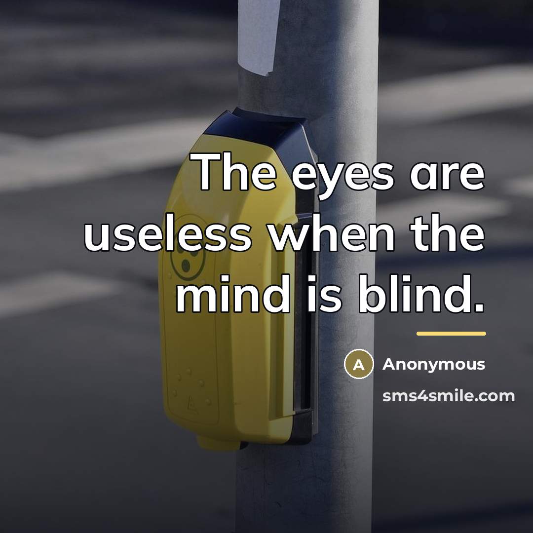 “The eyes are useless when the mind is blind.…” quote by Anonymous
