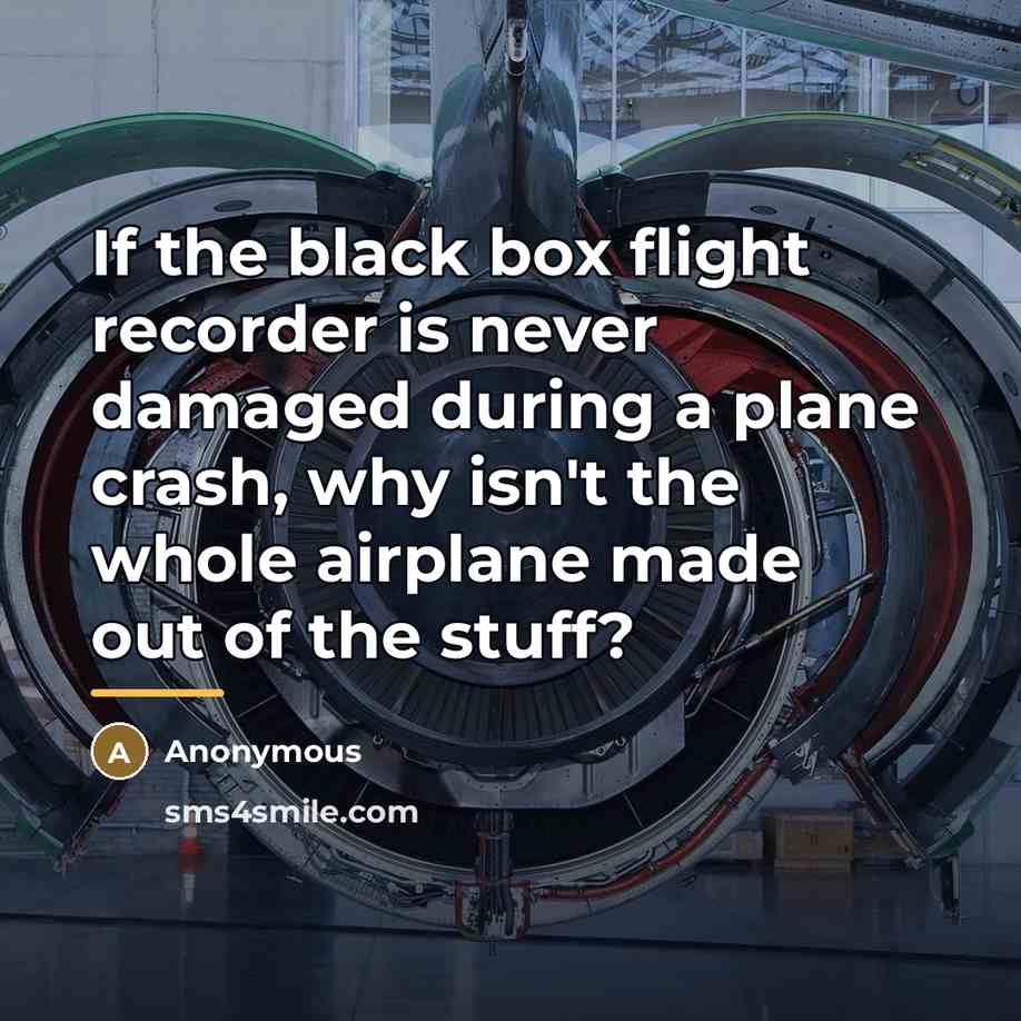 “If the black box flight recorder is never damaged during…” quote by Anonymous