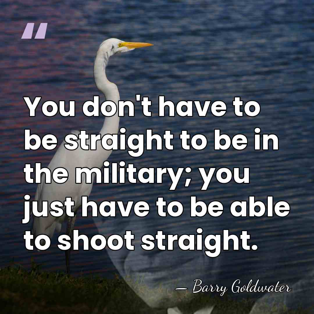 You don't have to be straight to be in the military; you&hellip; - Barry Goldwater