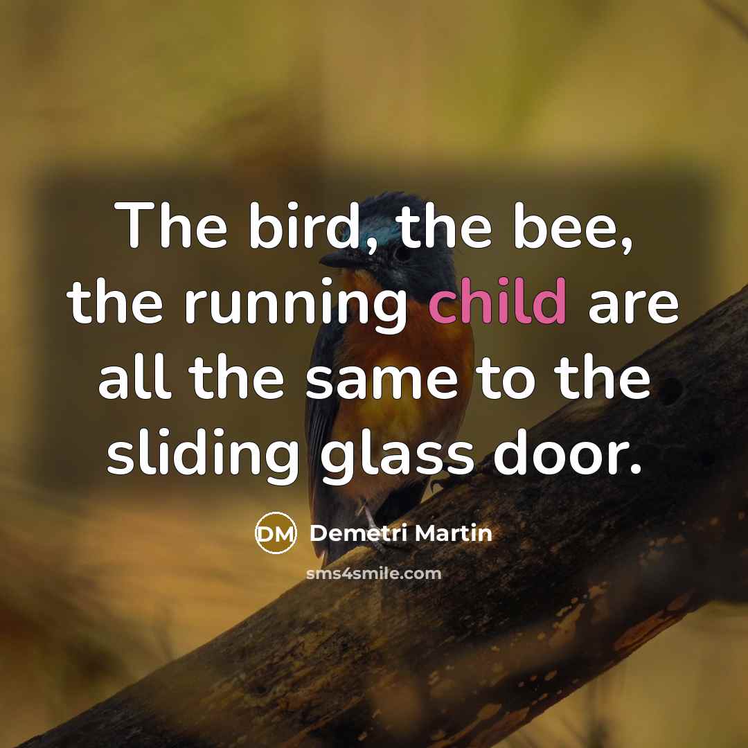 “The bird, the bee, the running child are all the…” quote by Demetri Martin