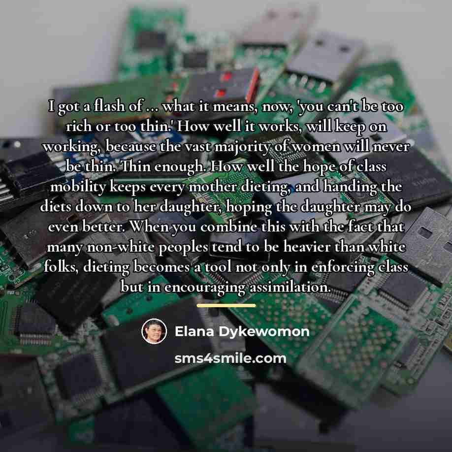 “I got a flash of ... what it means, now,…” quote by Elana Dykewomon