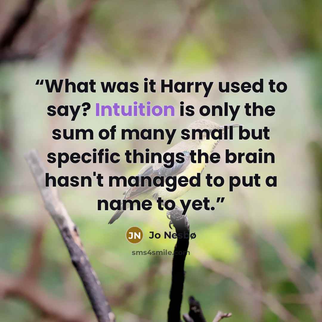 “What was it Harry used to say? Intuition is only the sum of many small but specific things the brain hasn't managed to put a name to yet.” quote by Jo Nesbø