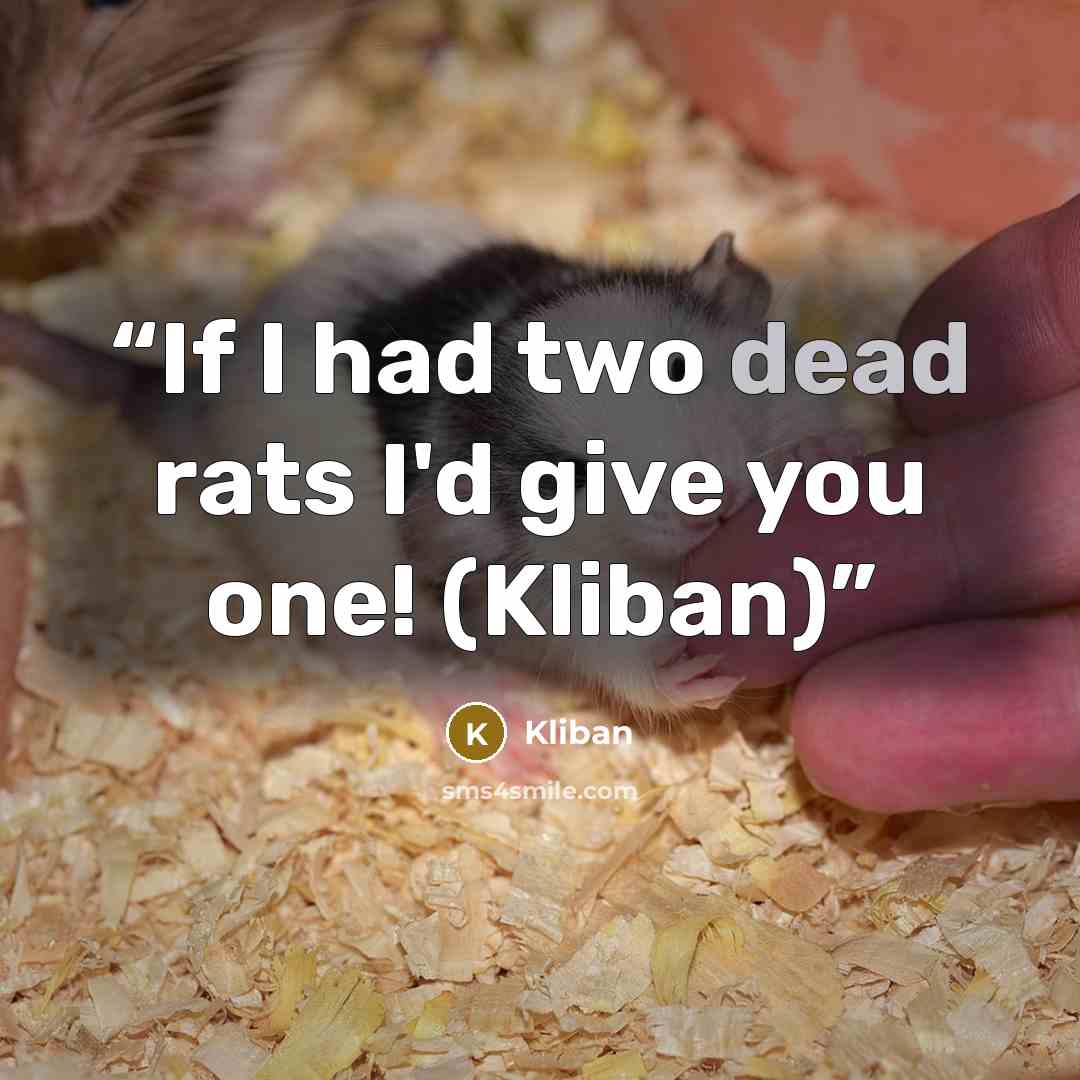 “If I had two dead rats I'd give you one! (Kliban)” quote by Kliban