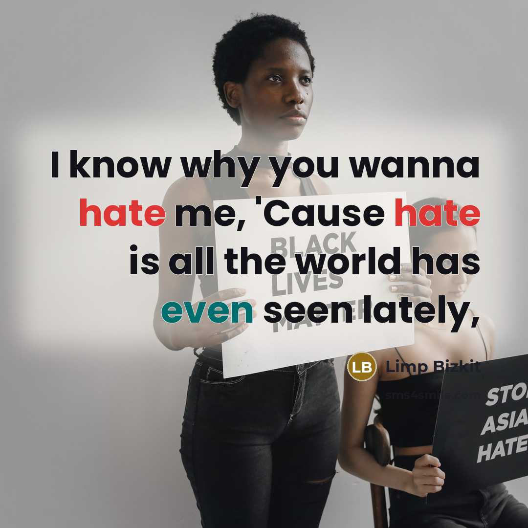 “I know why you wanna hate me, 'Cause hate is all the world has even seen lately,” quote by Limp Bizkit