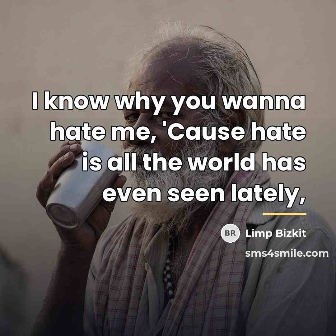 “I know why you wanna hate me, 'Cause hate is…” quote by Limp Bizkit