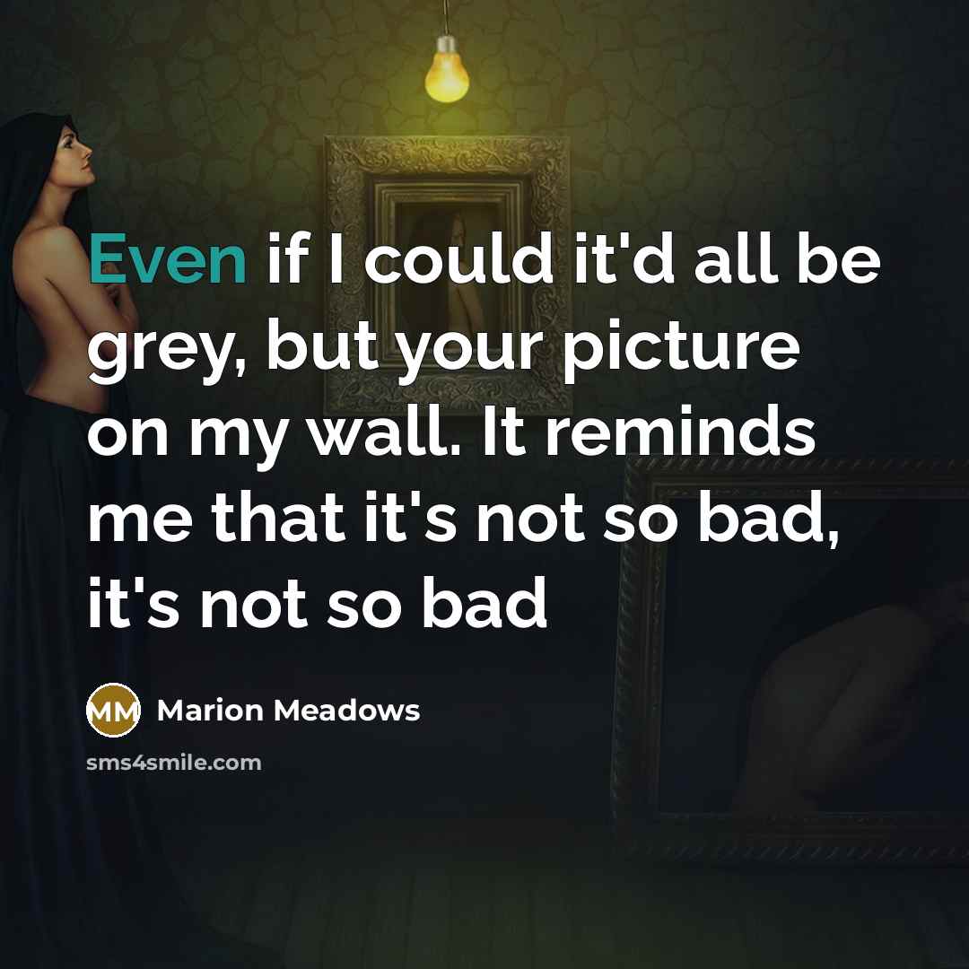 “Even if I could it'd all be grey, but your picture on my wall. It reminds me that it's not so bad, it's not so bad” quote by Marion Meadows