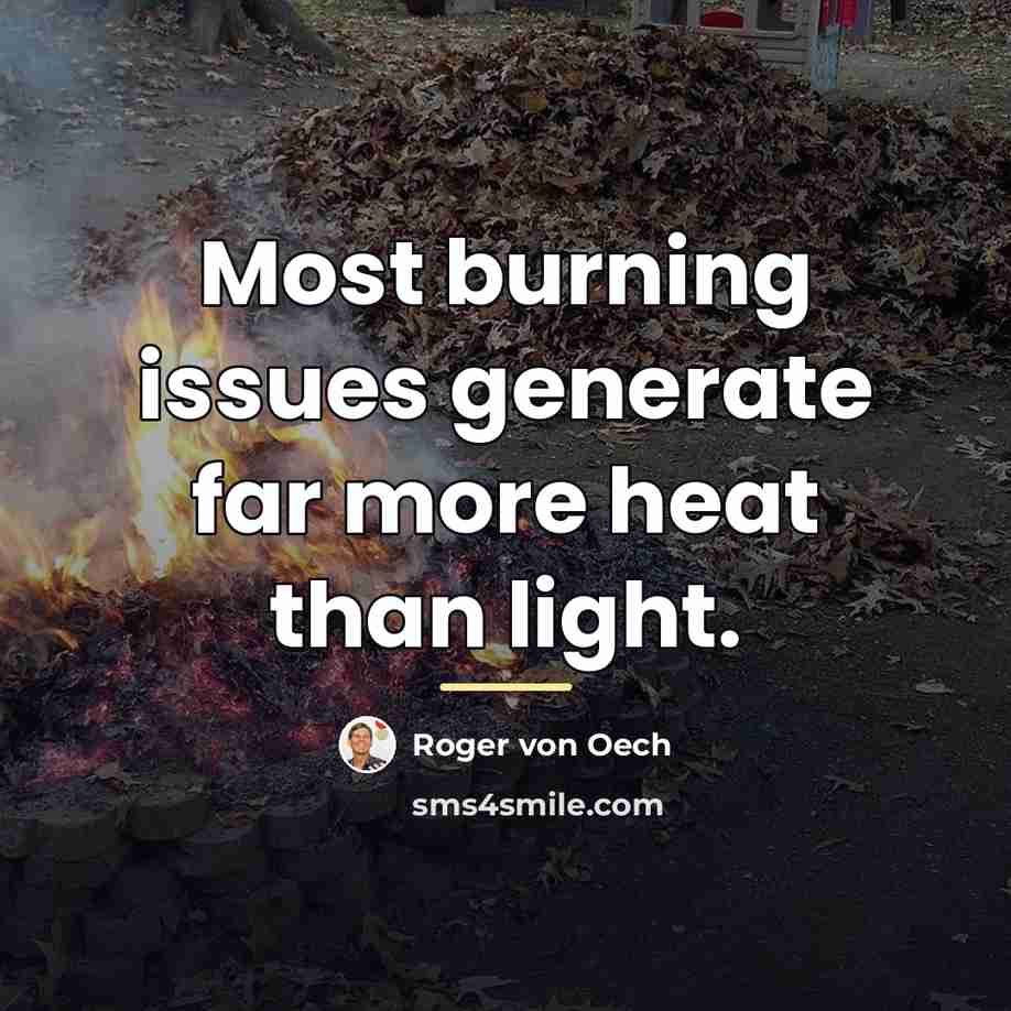 “Most burning issues generate far more heat than light.…” quote by Roger von Oech