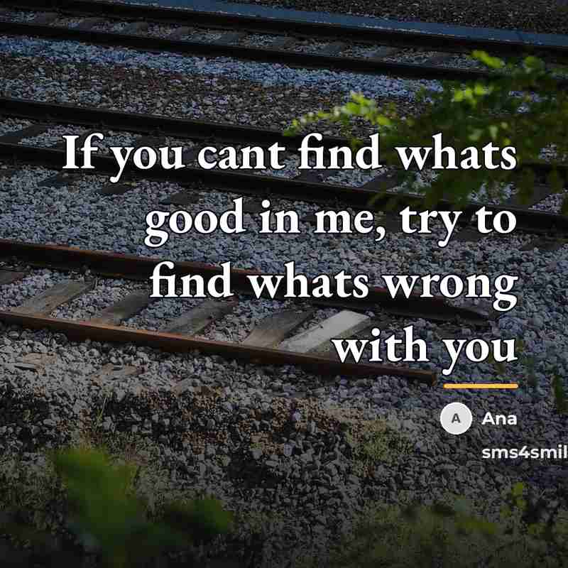 “If you cant find whats good in me, try to…” quote by Ana
