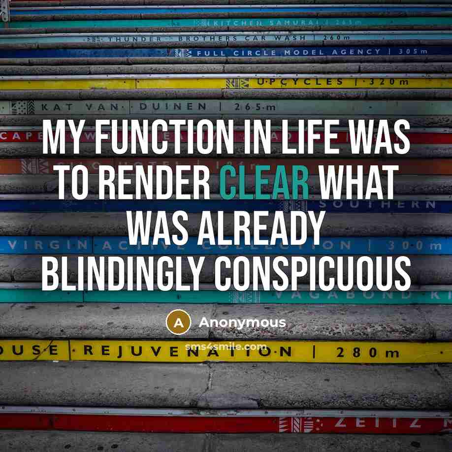 “My function in life was to render clear what was already blindingly conspicuous” quote by Anonymous