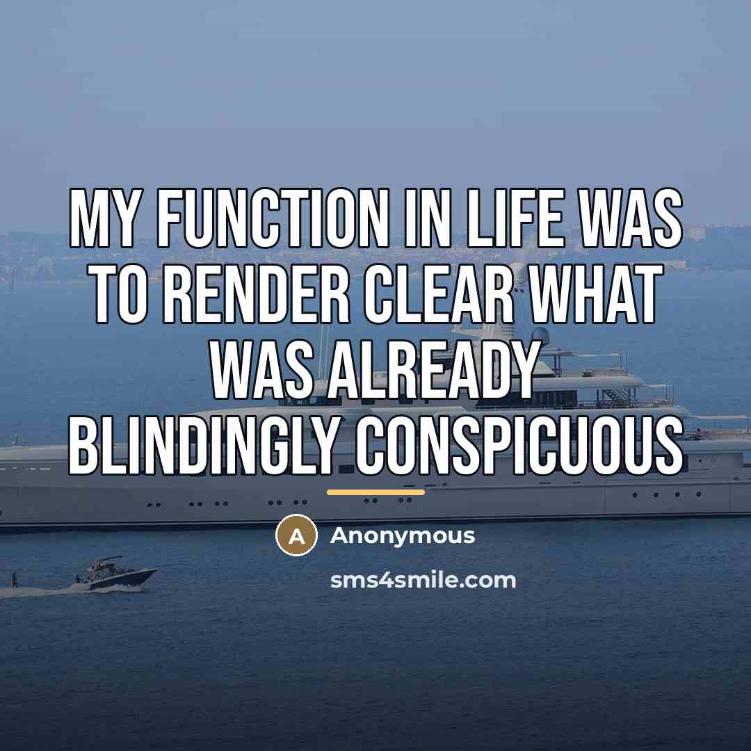 “My function in life was to render clear what was…” quote by Anonymous