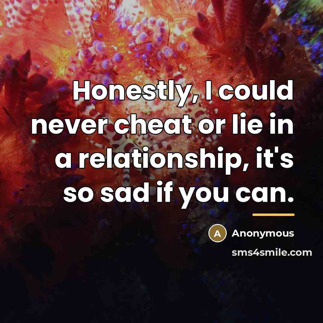 “Honestly, I could never cheat or lie in a relationship,…” quote by Anonymous