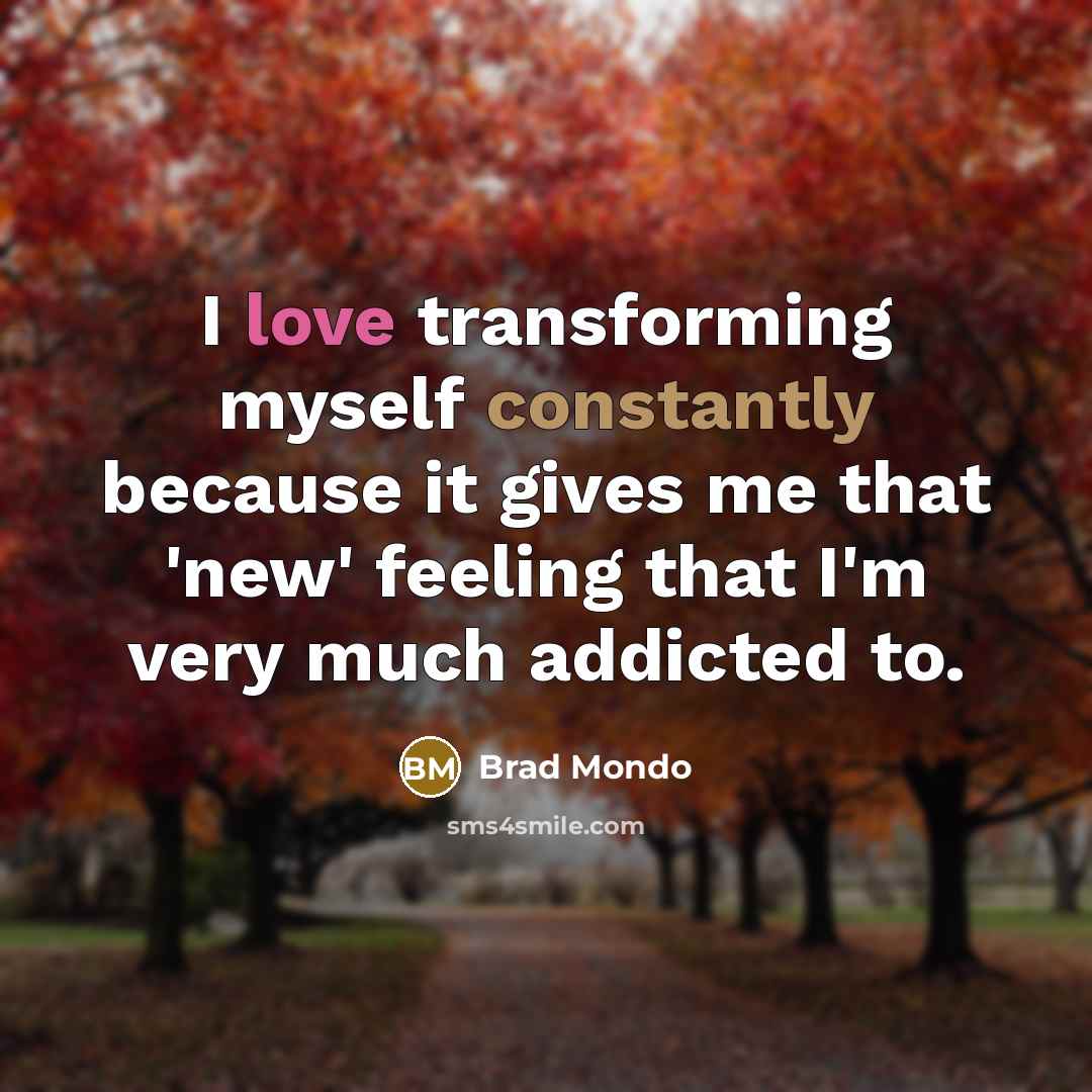 “I love transforming myself constantly because it gives me that 'new' feeling that I'm very much addicted to.” quote by Brad Mondo