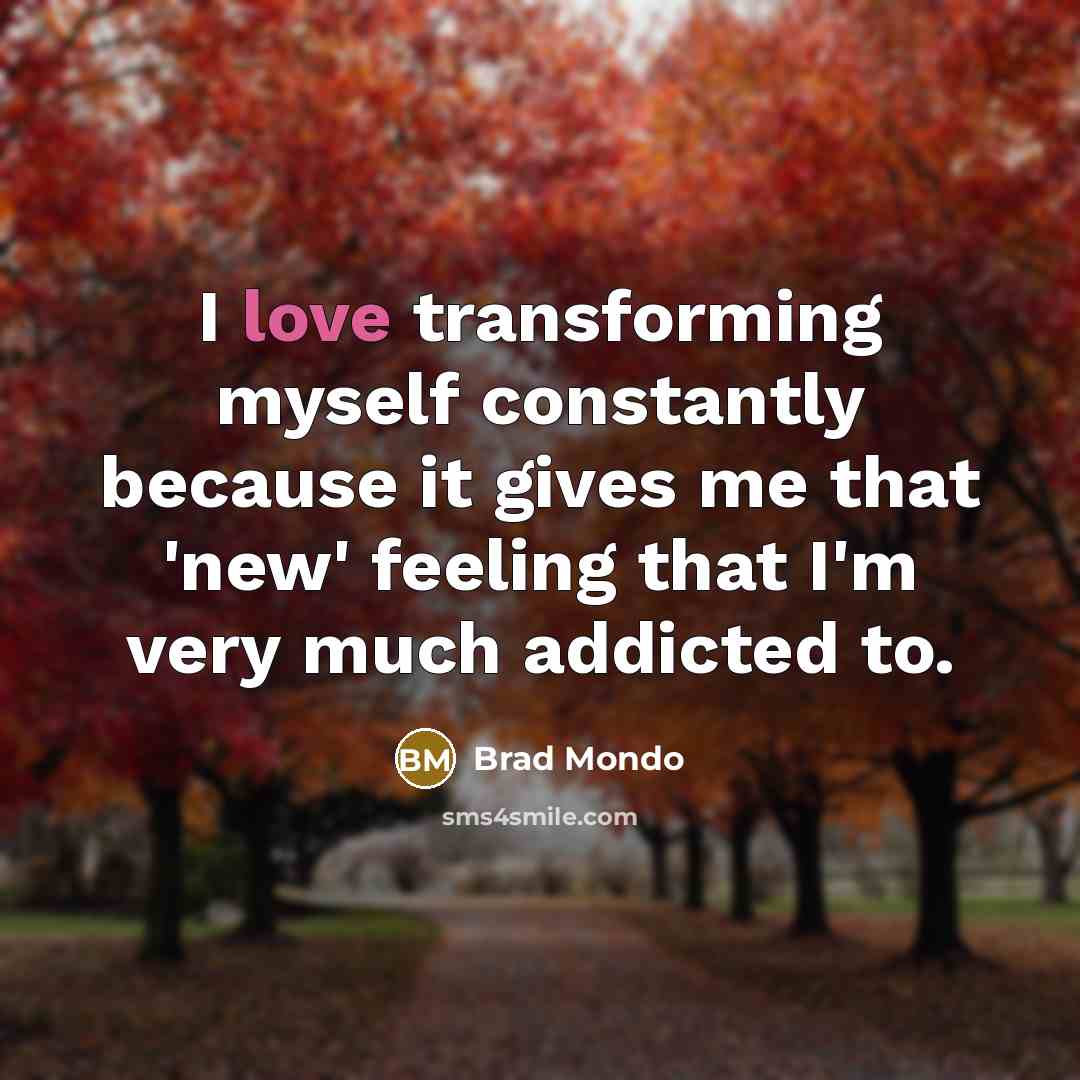 “I love transforming myself constantly because it gives me that…” quote by Brad Mondo