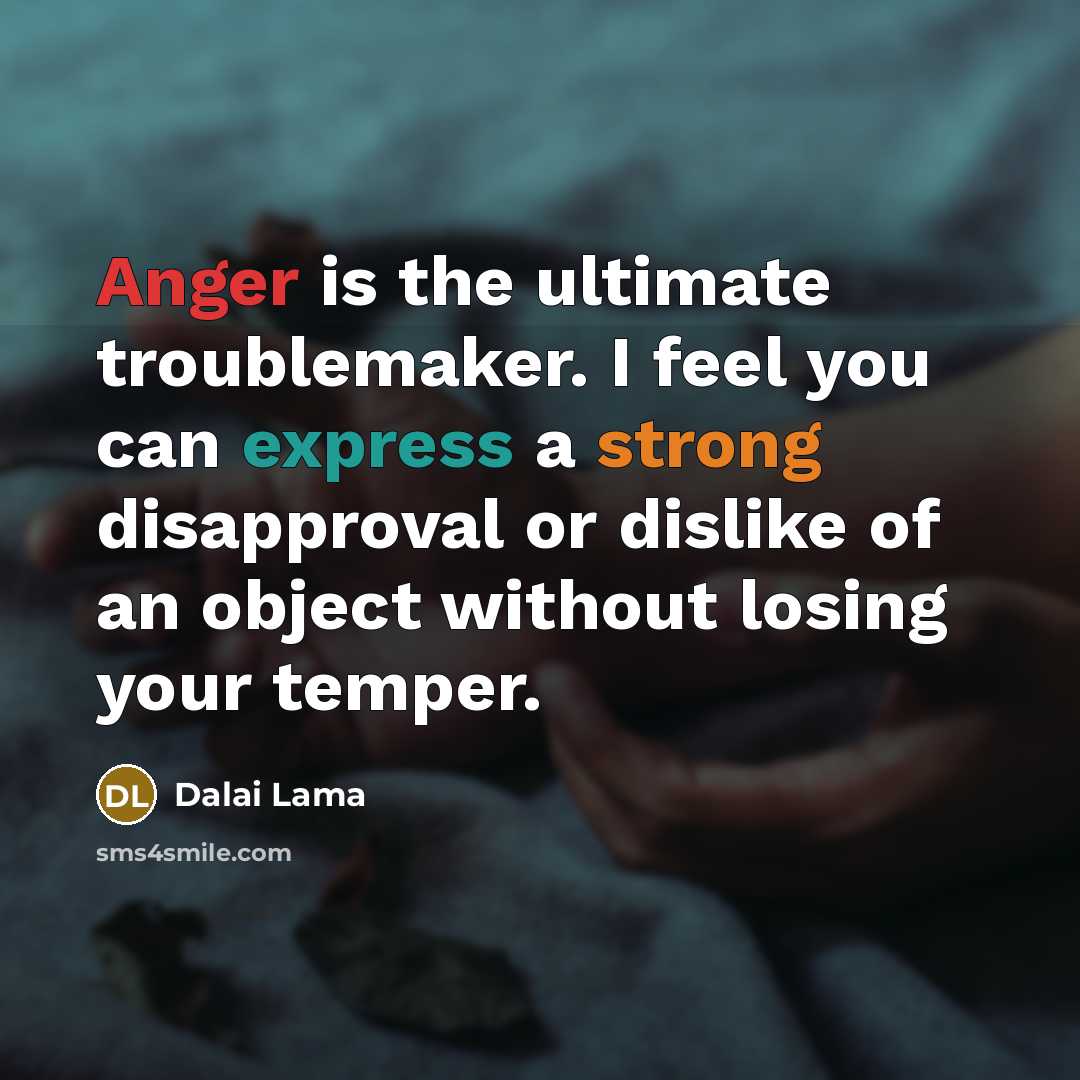 “Anger is the ultimate troublemaker. I feel you can express a strong disapproval or dislike of an object without losing your temper.” quote by Dalai Lama