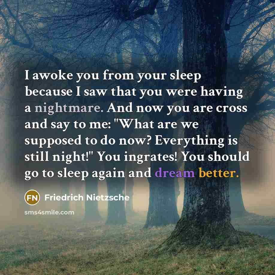 “I awoke you from your sleep because I saw that you were having a nightmare. And now you are cross and say to me: "What are we supposed to do now? Everything is still night!" You ingrates! You should go to sleep again and dream better.” quote by Friedrich Nietzsche