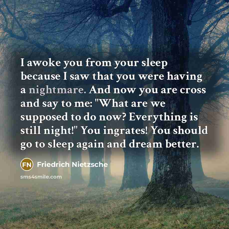 “I awoke you from your sleep because I saw that…” quote by Friedrich Nietzsche