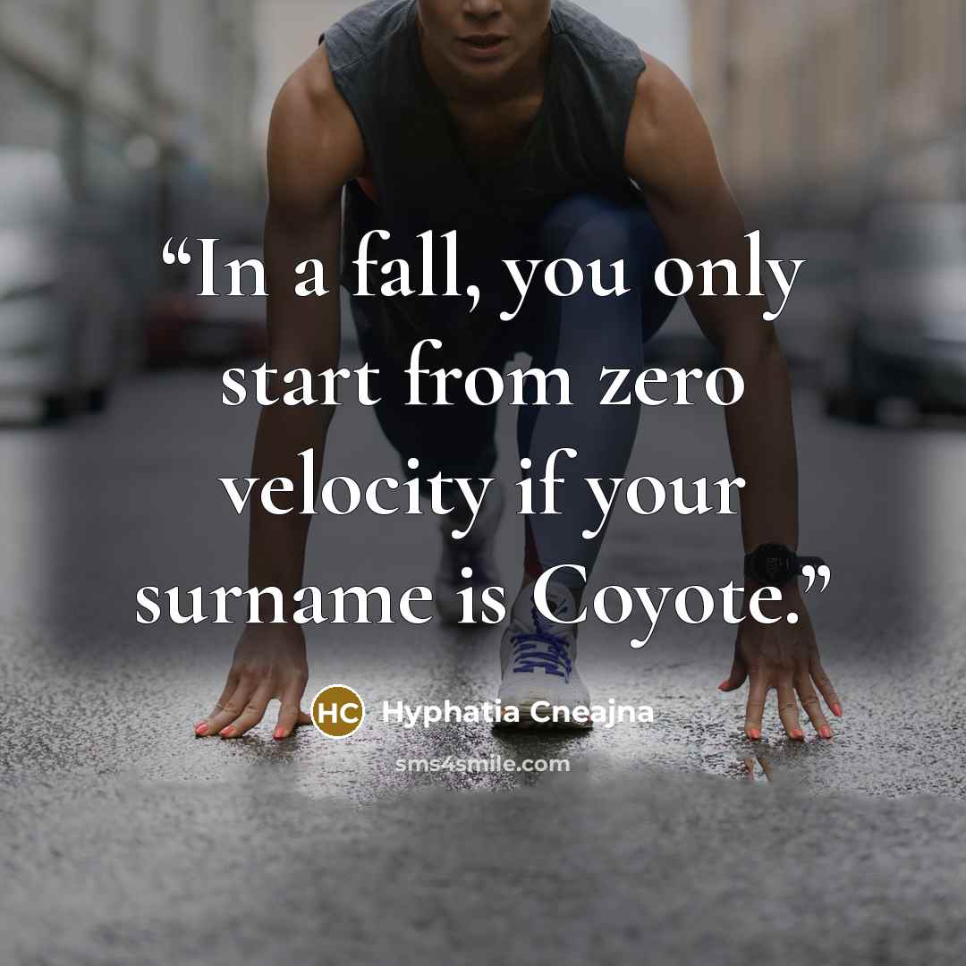 “In a fall, you only start from zero velocity if your surname is Coyote.” quote by Hyphatia Cneajna