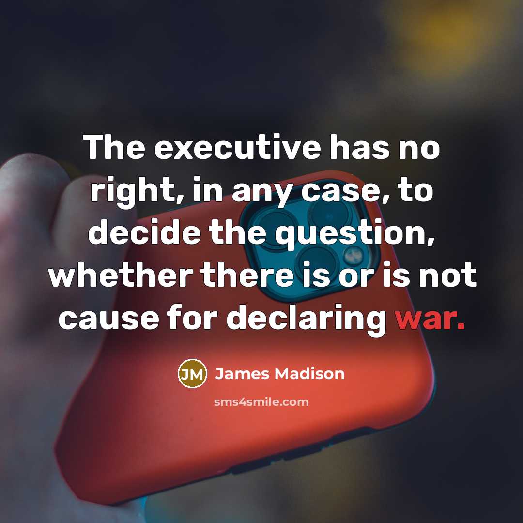 “The executive has no right, in any case, to decide…” quote by James Madison