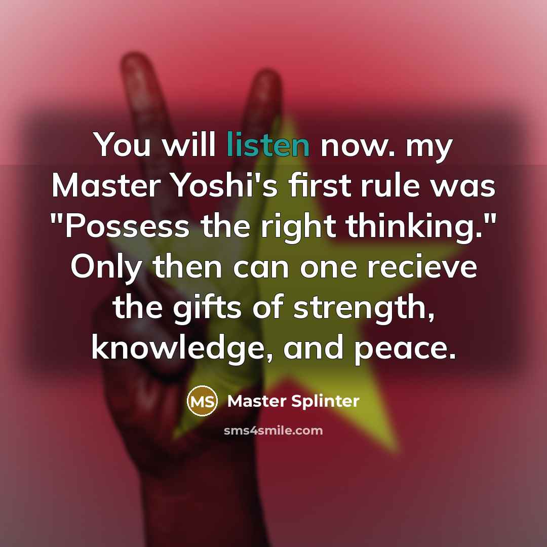 “You will listen now. my Master Yoshi's first rule was…” quote by Master Splinter