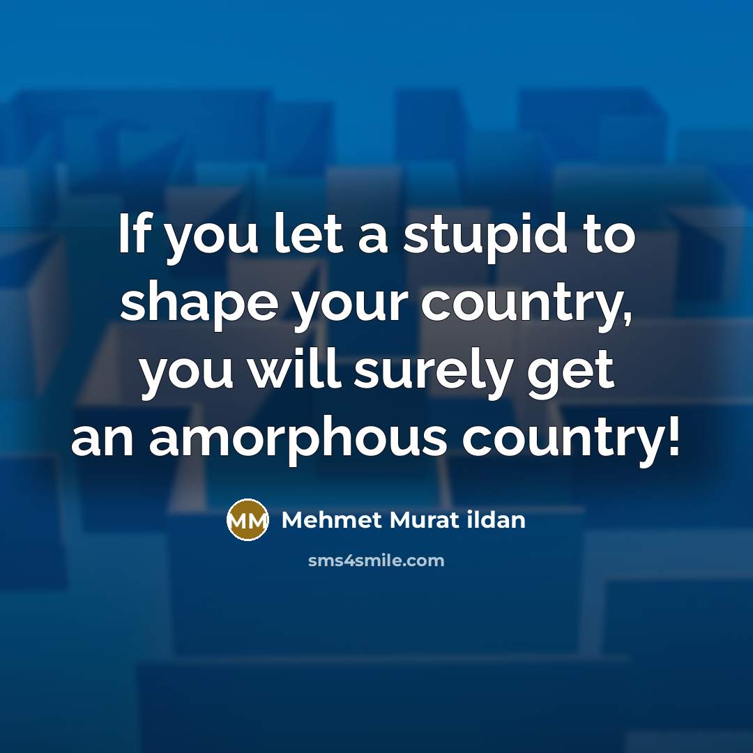 “If you let a stupid to shape your country, you…” quote by Mehmet Murat Ildan