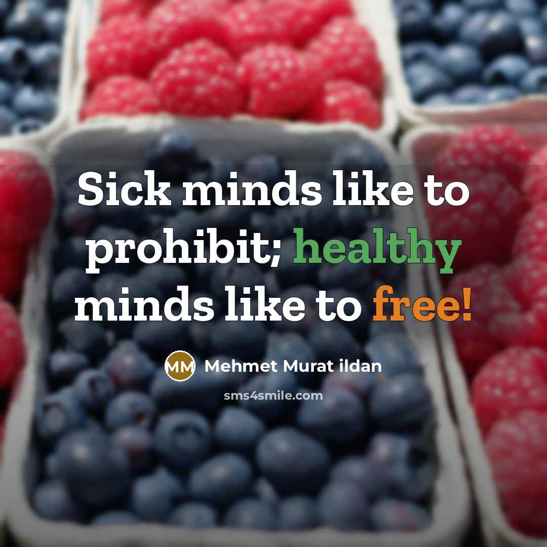 “Sick minds like to prohibit; healthy minds like to free!…” quote by Mehmet Murat Ildan