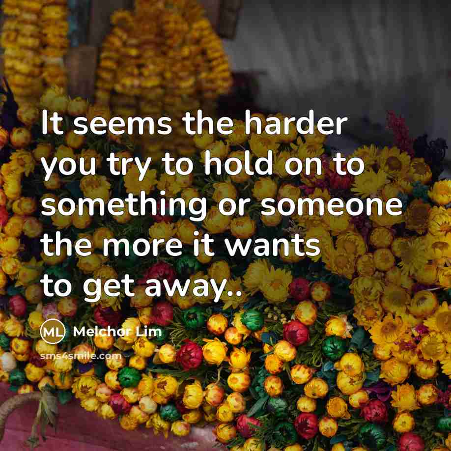 “It seems the harder you try to hold on to…” quote by Melchor Lim