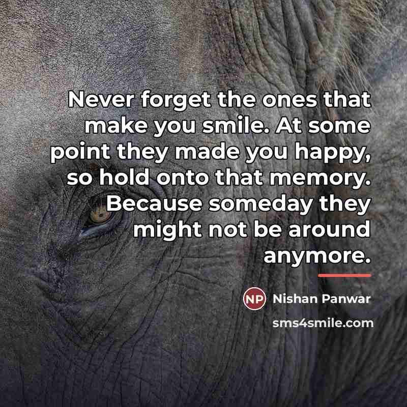 “Never forget the ones that make you smile. At some…” quote by Nishan Panwar