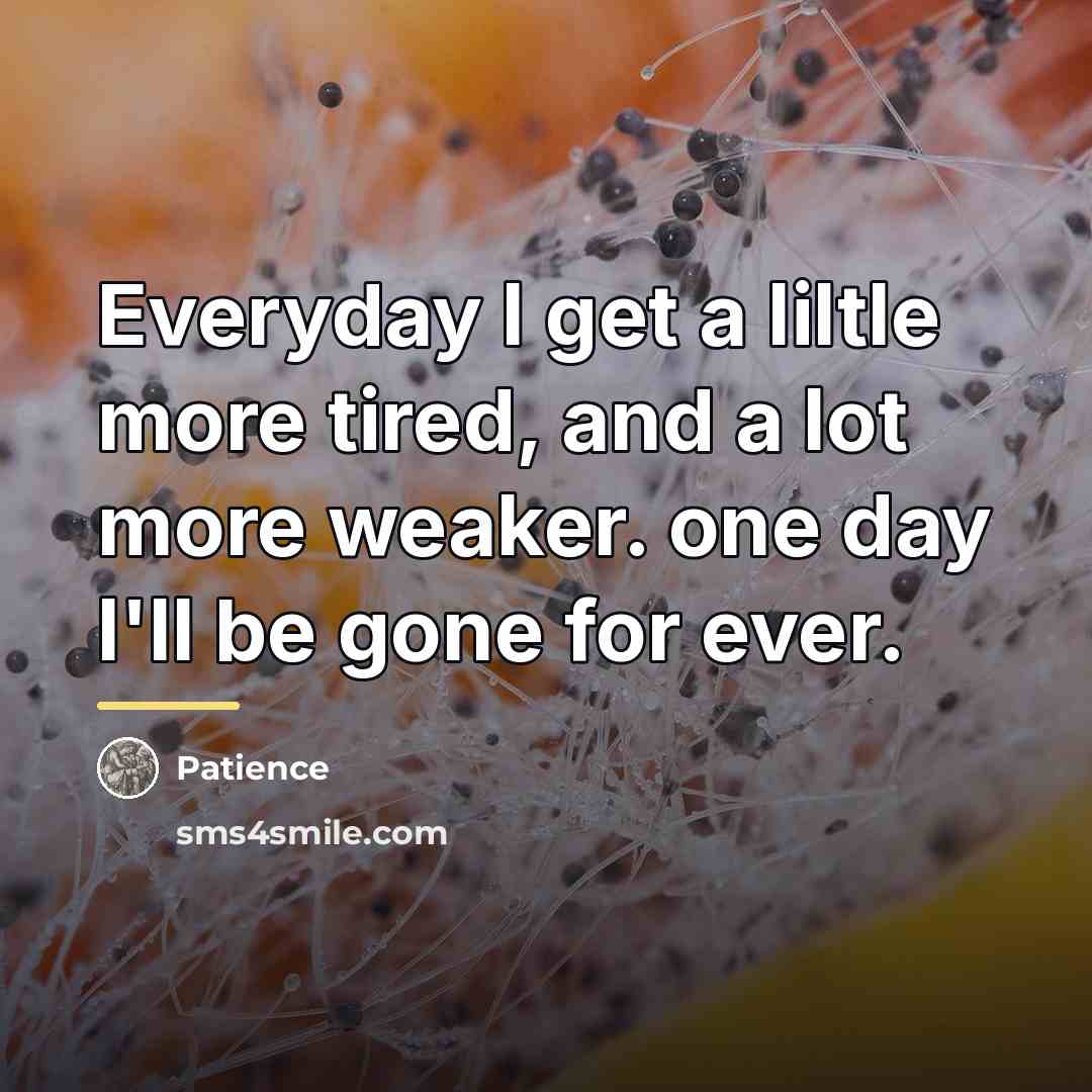 “Everyday I get a liltle more tired, and a lot…” quote by Patience