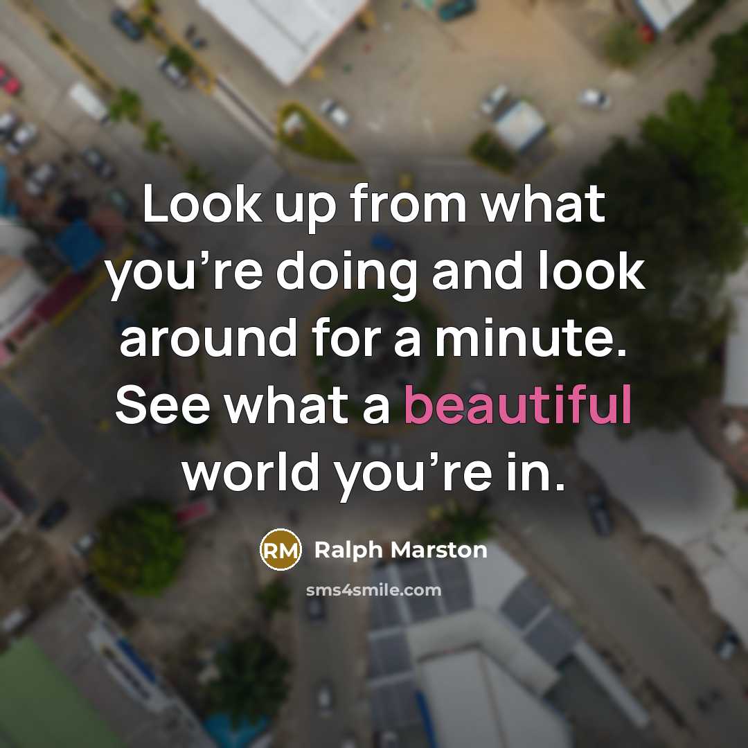 “Look up from what you're doing and look around for…” quote by Ralph Marston