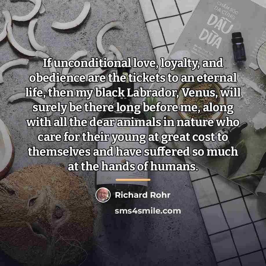 “If unconditional love, loyalty, and obedience are the tickets to…” quote by Richard Rohr