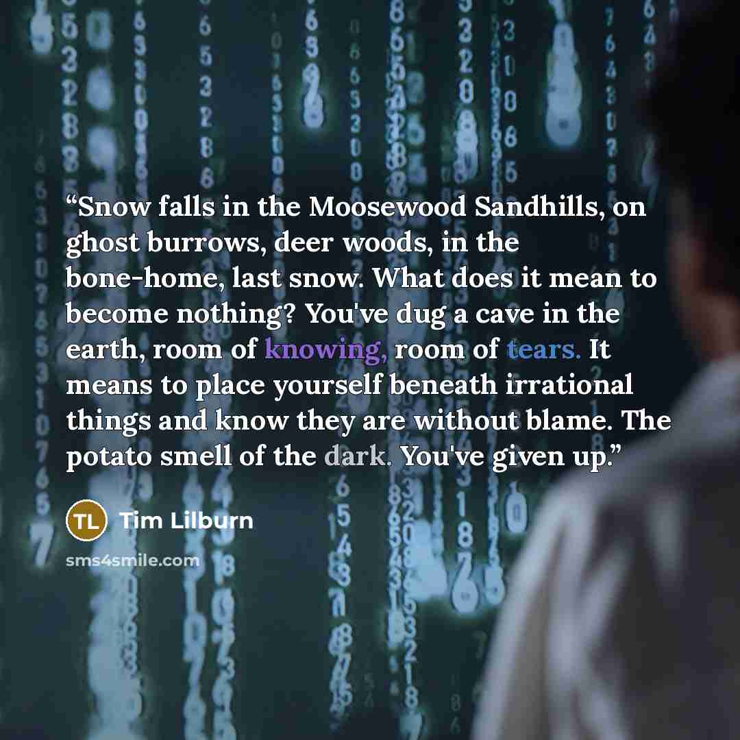 “Snow falls in the Moosewood Sandhills, on ghost burrows, deer woods, in the bone-home, last snow. What does it mean to become nothing? You've dug a cave in the earth, room of knowing, room of tears. It means to place yourself beneath irrational things and know they are without blame. The potato…” quote by Tim Lilburn
