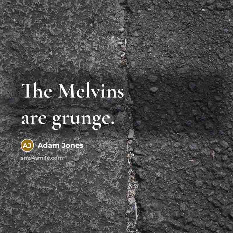 “The Melvins are grunge.…” quote by Adam Jones