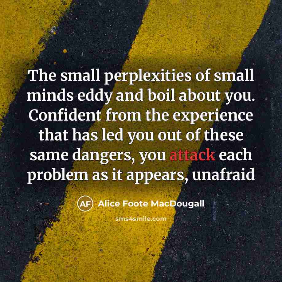 “The small perplexities of small minds eddy and boil about…” quote by Alice Foote MacDougall