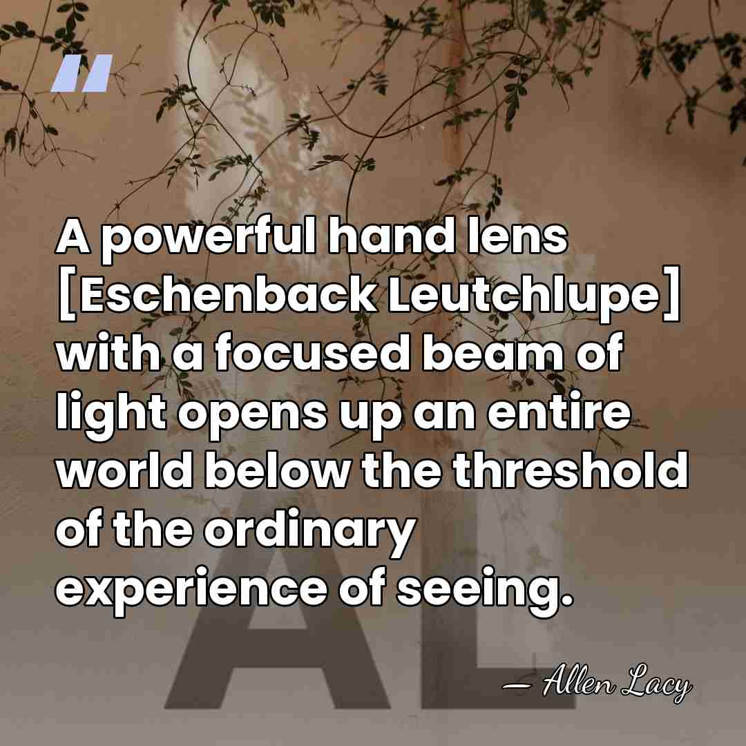 A powerful hand lens [Eschenback Leutchlupe] with a focused beam of light&hellip; - Allen Lacy