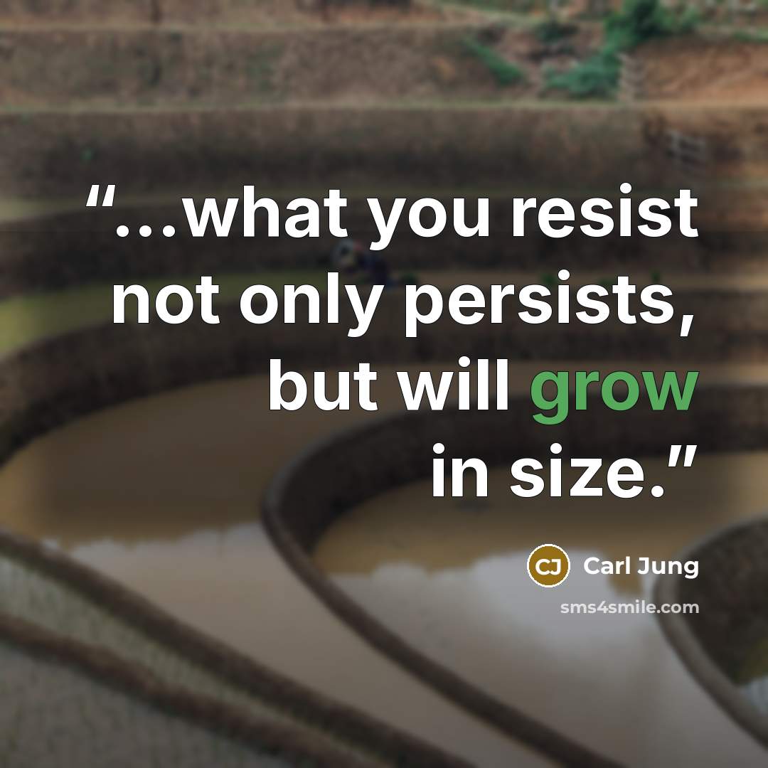 “...what you resist not only persists, but will grow in size.” quote by Carl Jung
