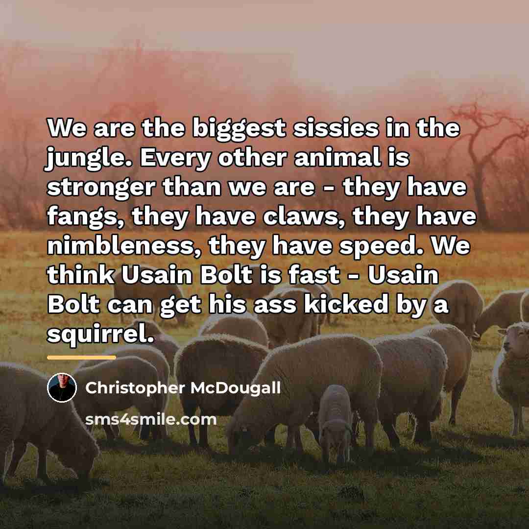 “We are the biggest sissies in the jungle. Every other…” quote by Christopher McDougall