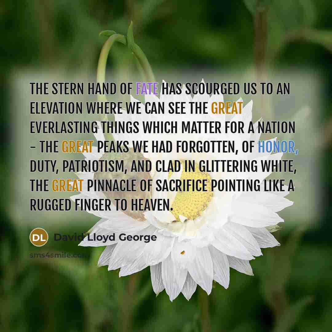 “The stern hand of fate has scourged us to an…” quote by David Lloyd George