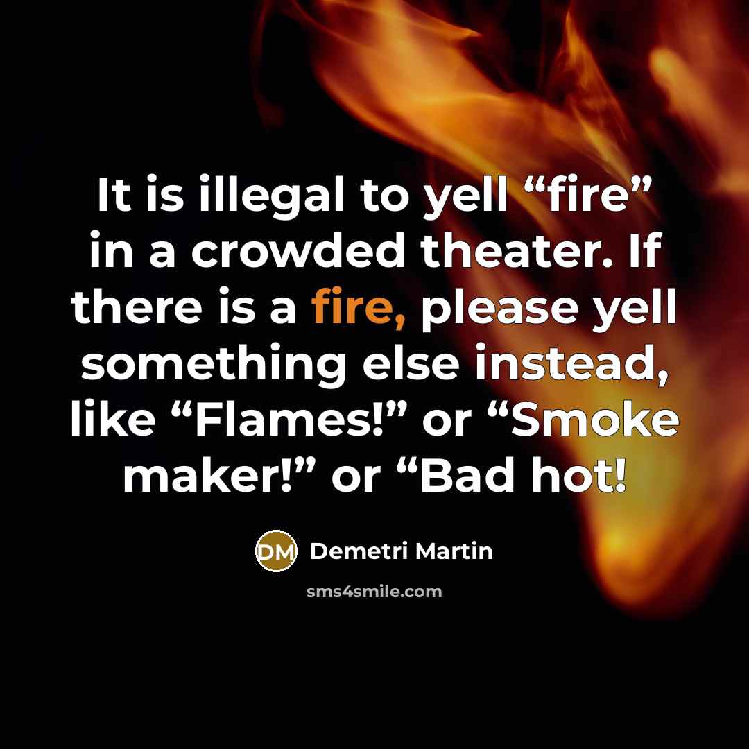 “It is illegal to yell “fire” in a crowded theater.…” quote by Demetri Martin