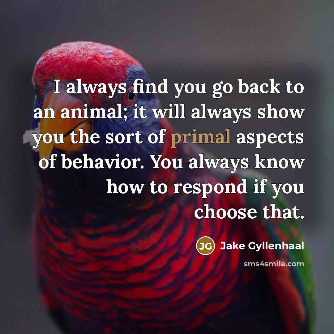“I always find you go back to an animal; it…” quote by Jake Gyllenhaal