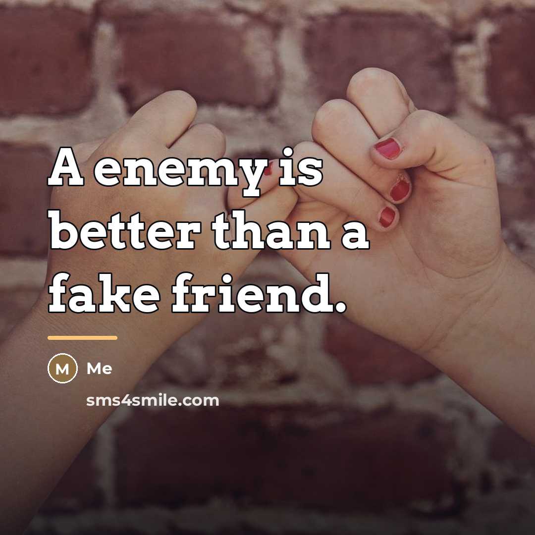 “A enemy is better than a fake friend.…” quote by Me