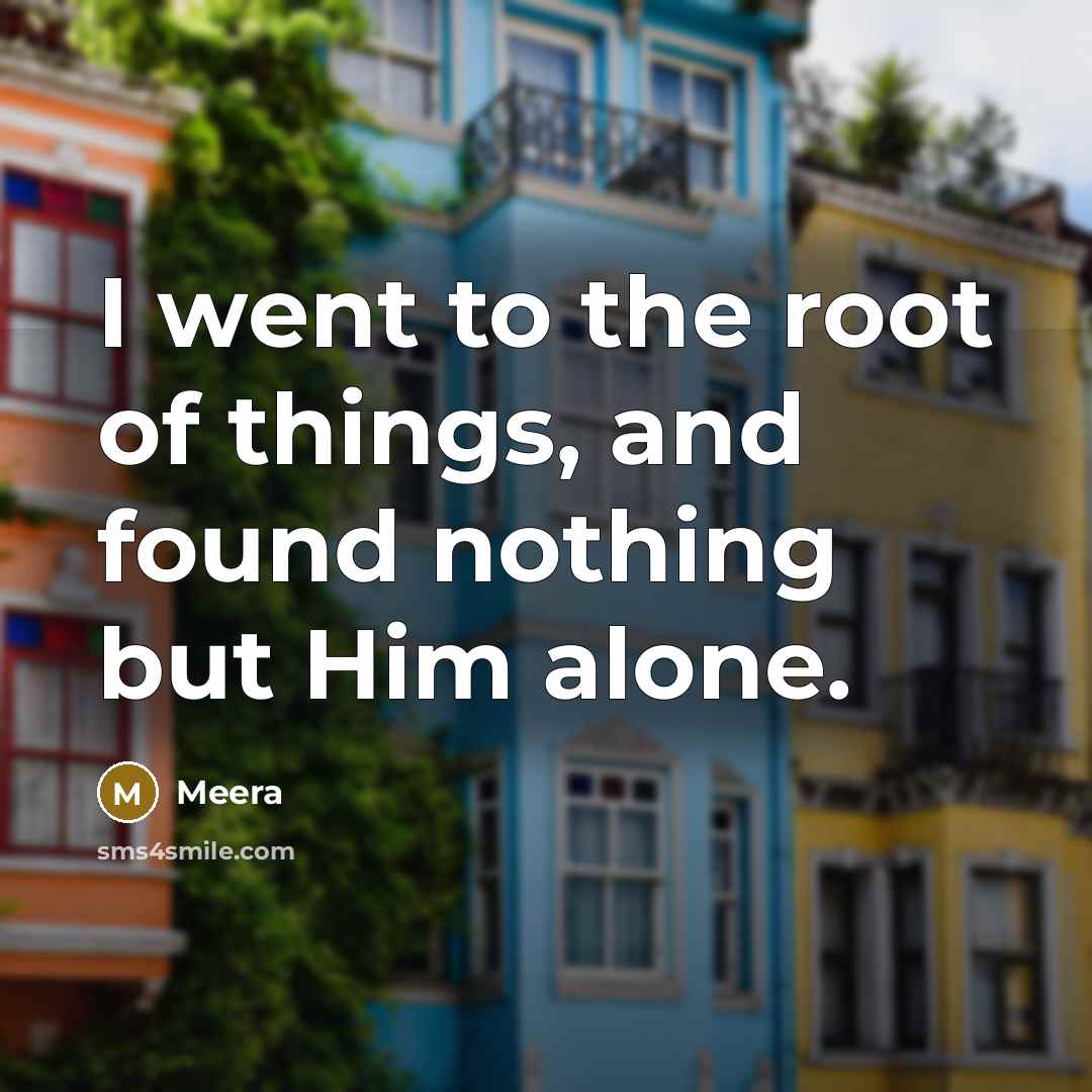 “I went to the root of things, and found nothing…” quote by Meera