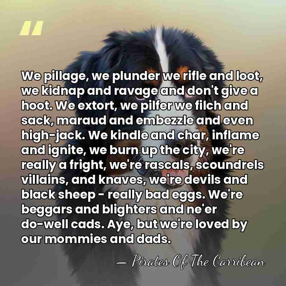 We pillage, we plunder we rifle and loot, we kidnap and ravage&hellip; - Pirates Of The Carribean