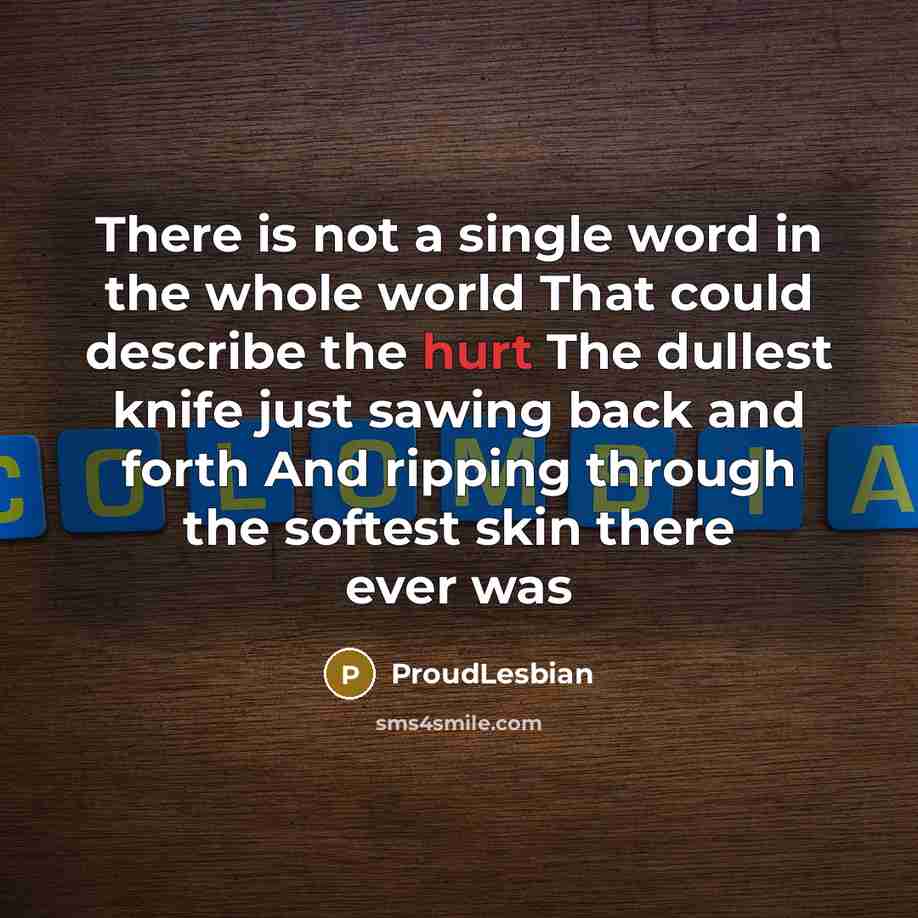 “There is not a single word in the whole world…” quote by ProudLesbian