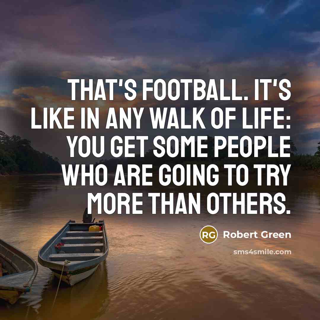 “That's football. It's like in any walk of life: you…” quote by Robert Green