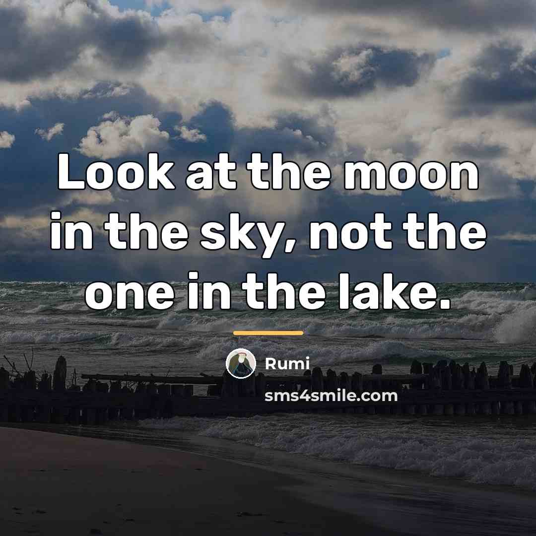 “Look at the moon in the sky, not the one…” quote by Rumi